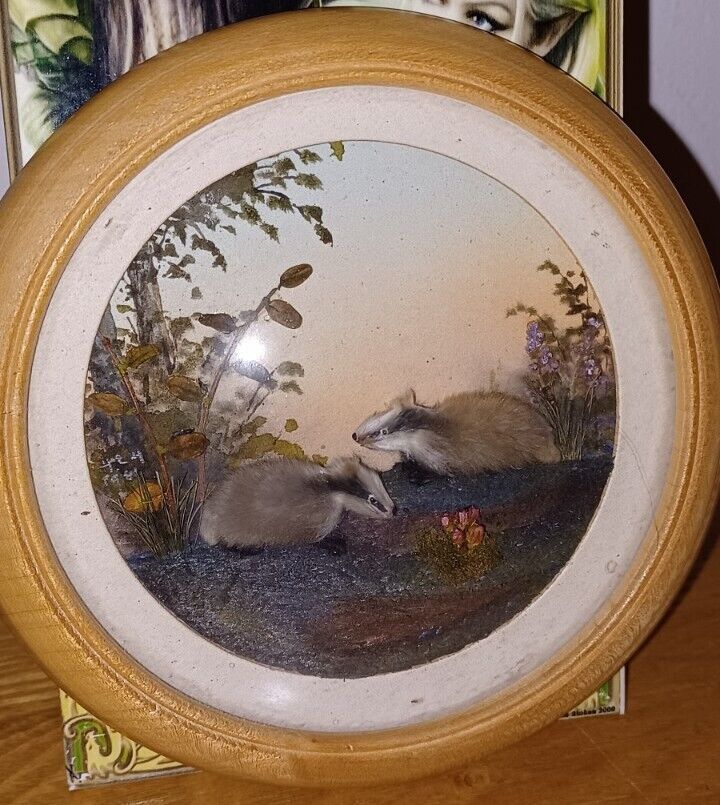 Badgers (5-inch)